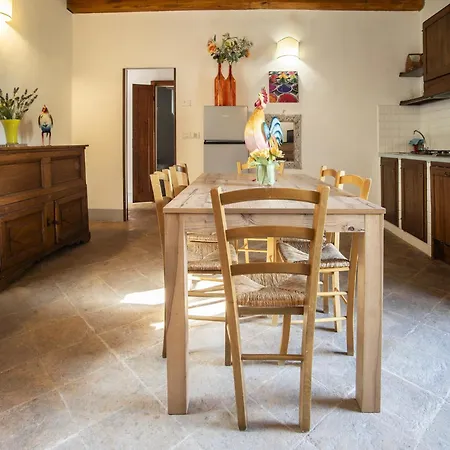 With Terrace In Appartement