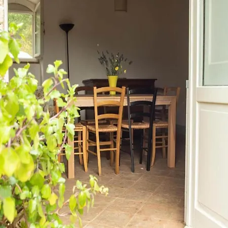 With Terrace In Apartament Asyż