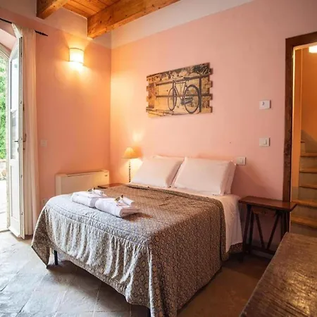 With Terrace In Appartement