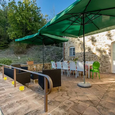 With Terrace In Appartement *