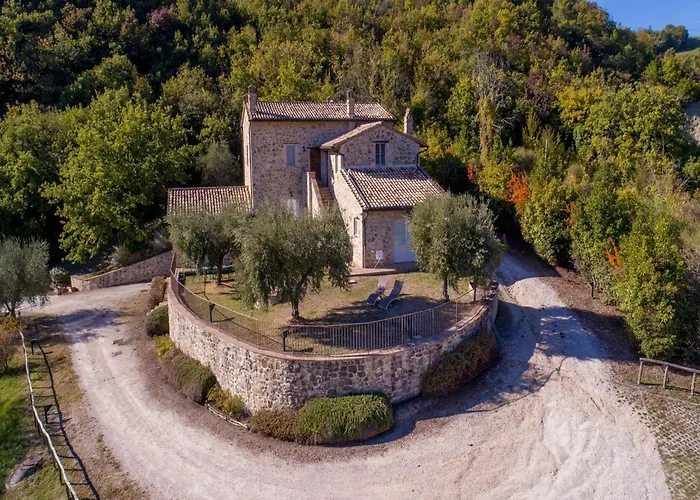 With Terrace In Appartement