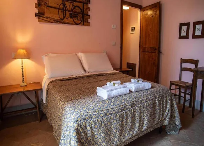 With Terrace In Assise